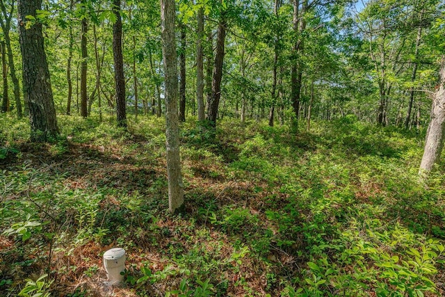 240 Gross Hill Rd, Wellfleet, MA 02667