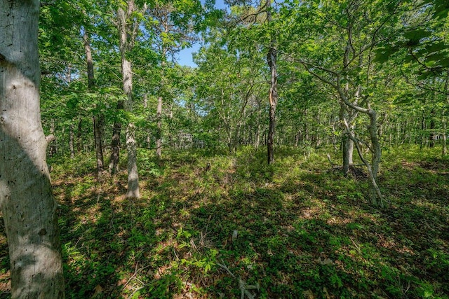 240 Gross Hill Rd, Wellfleet, MA 02667