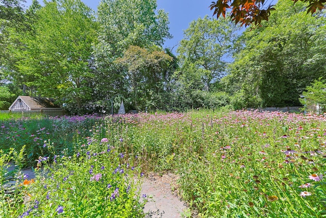 149 Sheaffer Rd, Centerville, MA 02632 - photo 34