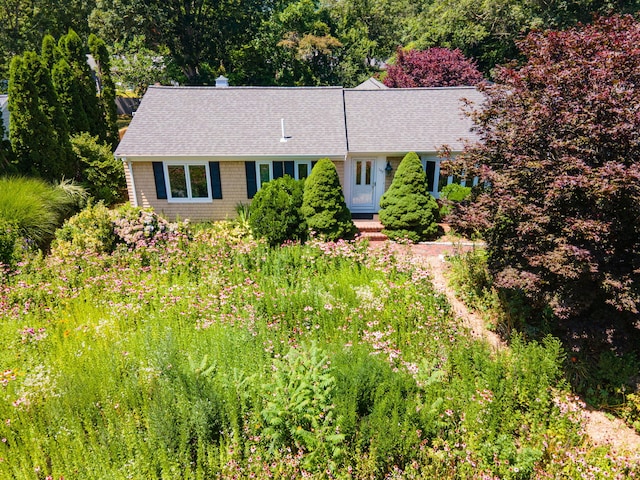 149 Sheaffer Rd, Centerville, MA 02632 - photo 53