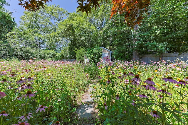 149 Sheaffer Rd, Centerville, MA 02632 - photo 43