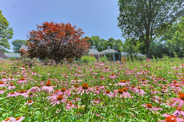149 Sheaffer Rd, Centerville, MA 02632 - photo 32