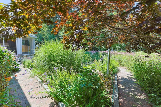 149 Sheaffer Rd, Centerville, MA 02632 - photo 42