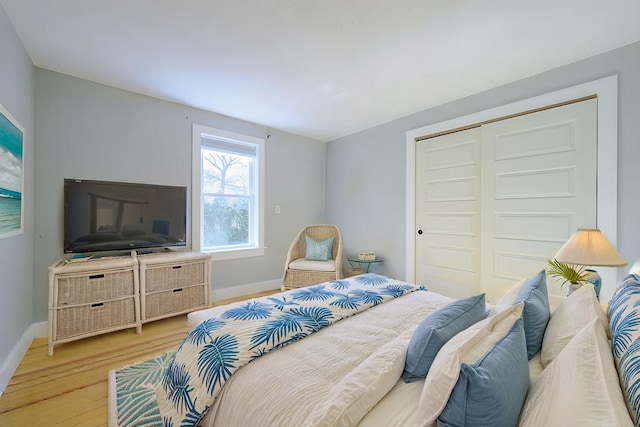 bedroom featuring wood-type flooring and a closet