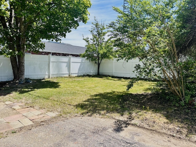 view of yard