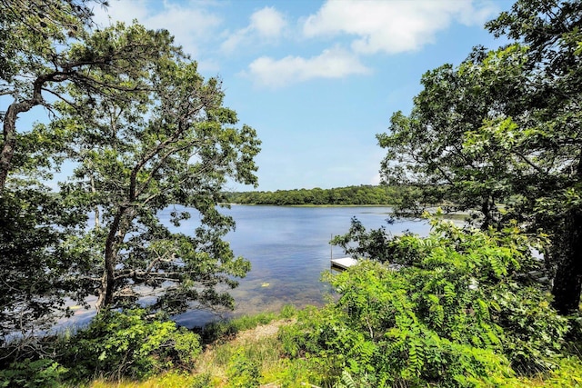 2 Buttercup Ln, South Yarmouth, MA 02664 - water view with a floating dock and a forest