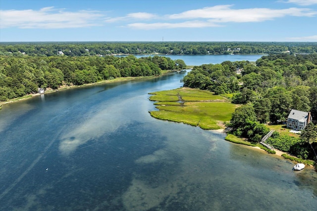 2 Buttercup Ln, South Yarmouth, MA 02664 - bird's eye view of a heavily wooded area and a large body of water