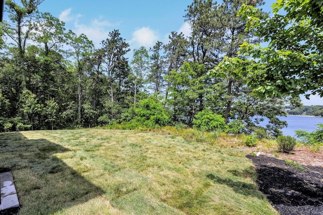 2 Buttercup Ln, South Yarmouth, MA 02664 - view of green lawn with a water view