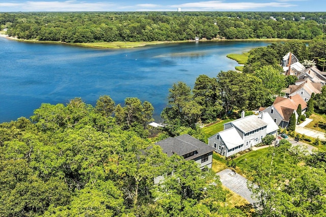 2 Buttercup Ln, South Yarmouth, MA 02664 - drone / aerial view of a forest and a nearby body of water