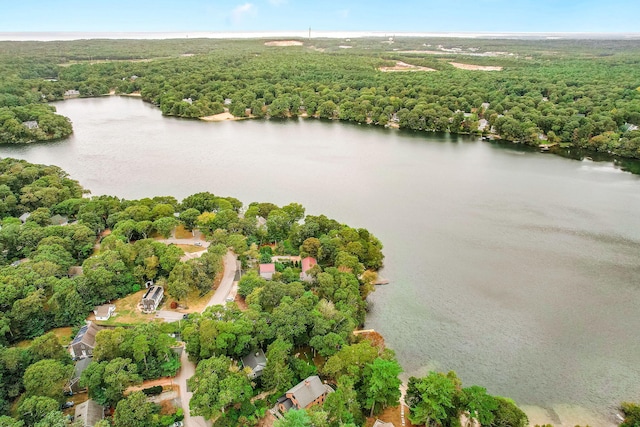 drone / aerial view with a view of trees and a water view