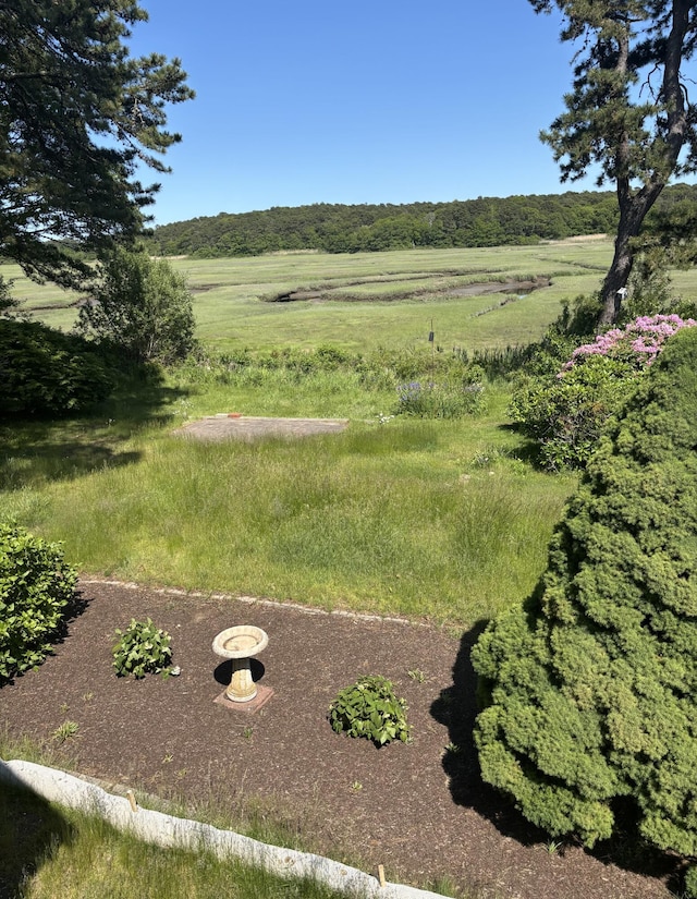 72 Lookout Rd, Yarmouth Port, MA 02675 - photo 34