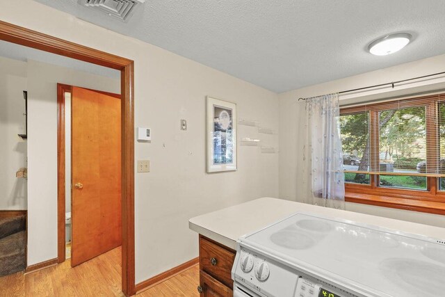 interior space with vanity, hardwood / wood-style floors, and a textured ceiling