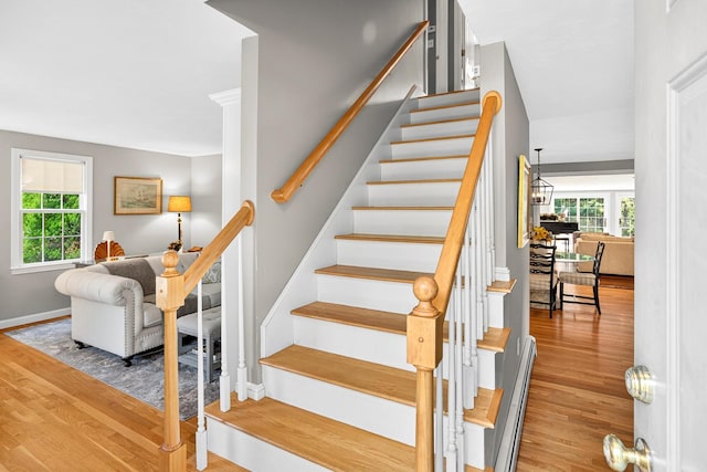 30 Fairview Ln, Pinehills, MA 02360 - photo 16
