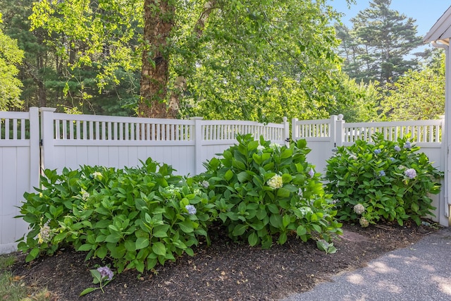 30 Fairview Ln, Pinehills, MA 02360 - photo 13