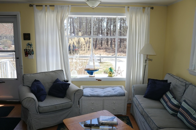 living room featuring a wealth of natural light and wood finished floors