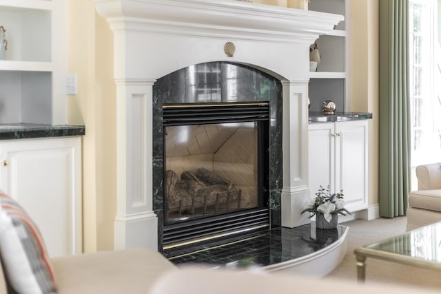 335 Falmouth Woods Rd, East Falmouth, MA 02536 - detailed view of a high end fireplace and carpet flooring
