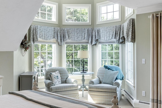 335 Falmouth Woods Rd, East Falmouth, MA 02536 - bedroom featuring a baseboard heating unit