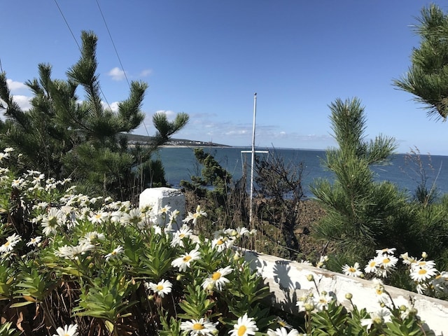 view of water feature