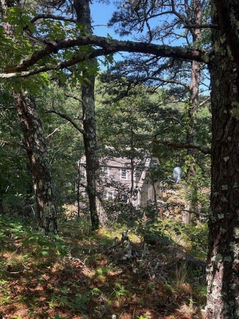 11 Higgins Way, Truro, MA 02666 - view of wooded area