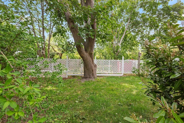 22 Browne St, Provincetown, MA 02657 - view of yard