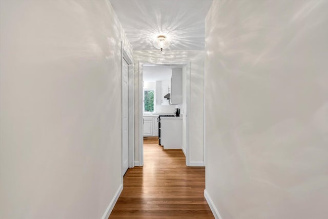 31 John Joseph Rd, Harwich, MA 02645 - corridor with baseboards and wood finished floors