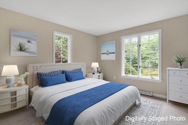 31 John Joseph Rd, Harwich, MA 02645 - bedroom with carpet, multiple windows, and a baseboard heating unit