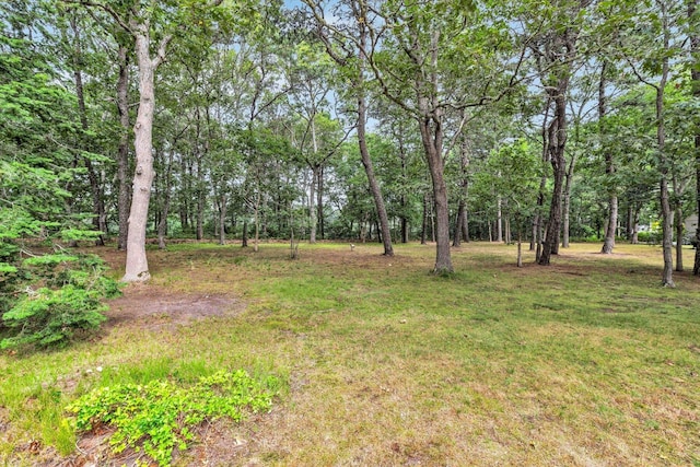 31 John Joseph Rd, Harwich, MA 02645 - view of grassy yard