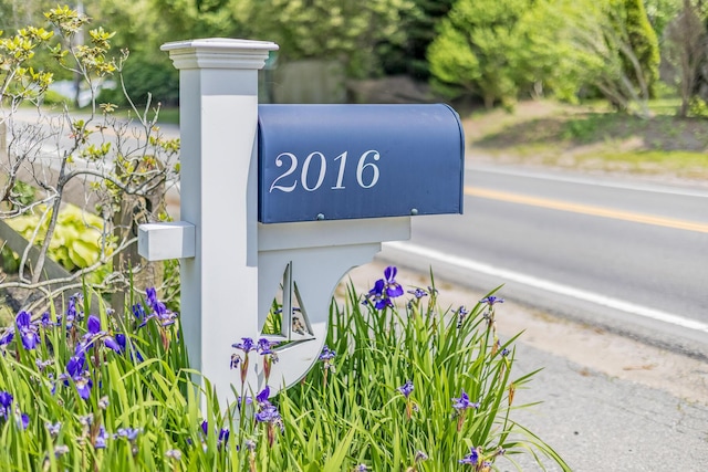 2016 Main St, Chatham, MA 02633 - photo 92