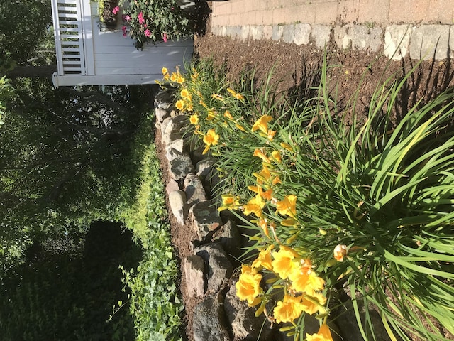 5 Milestone Way, Mashpee, MA 02649 - view of details