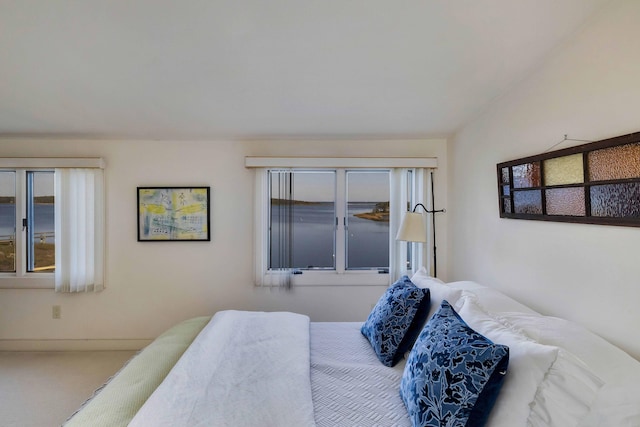 169 Daniels Island Rd, Mashpee, MA 02649 - carpeted bedroom with multiple windows
