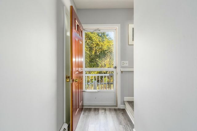 entryway featuring wood-type flooring and a wealth of natural light