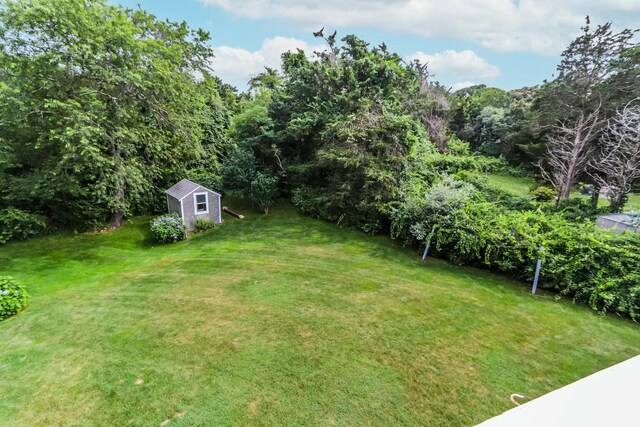 view of yard featuring a storage unit