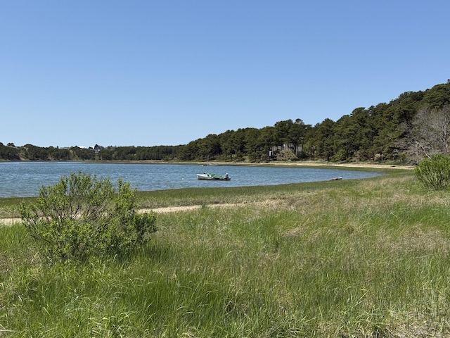 15 Hidden Valley Way, Wellfleet, MA 02667 - water view with a forest