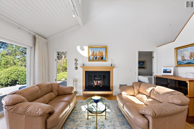 15 Hidden Valley Way, Wellfleet, MA 02667 - living area featuring wood finished floors, a glass covered fireplace, high vaulted ceiling, rail lighting, and a wood ceiling with exposed beams