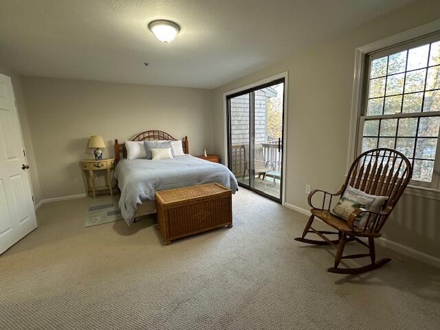 bedroom featuring access to exterior and light carpet