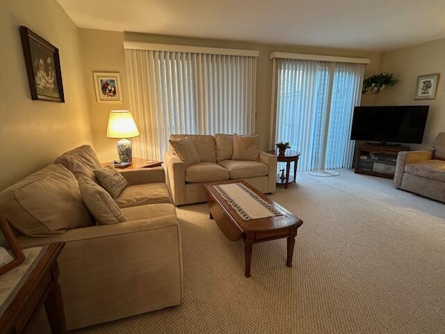 living room featuring carpet