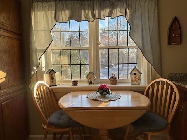 dining space featuring plenty of natural light