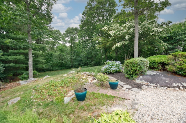106 Ambleside Dr, Falmouth, MA 02540 - photo 6