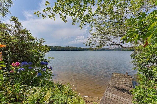 35 Santuit Ln, Mashpee, MA 02649 - photo 34
