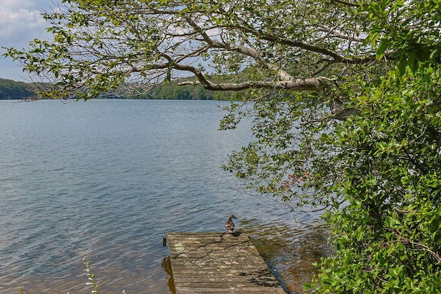 35 Santuit Ln, Mashpee, MA 02649 - photo 33