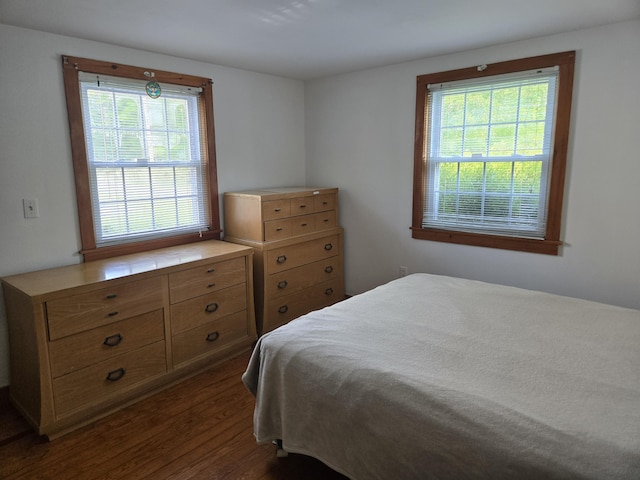 22 Cypress St, East Falmouth, MA 02536 - bedroom with multiple windows and dark wood-style flooring