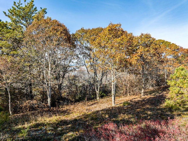 43 Old County Rd, Truro, MA 02666