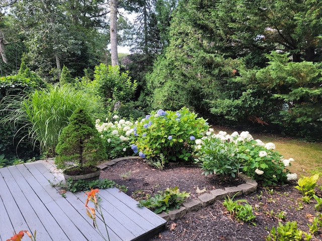 29 Windward Walk, Harwich Port, MA 02646 - photo 43