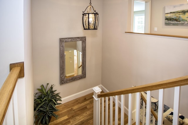 stairway featuring hardwood / wood-style flooring