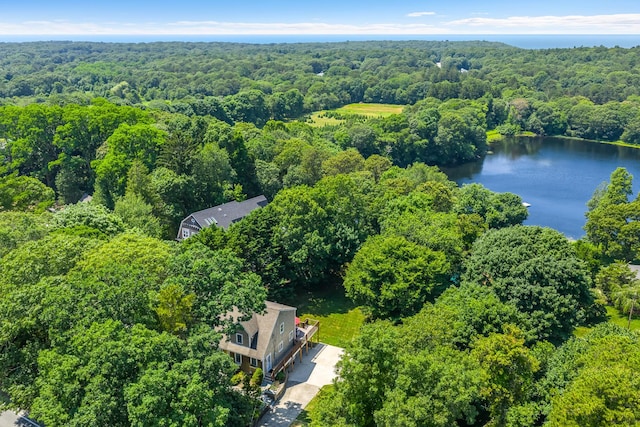 908 W Falmouth Hwy, Falmouth, MA 02540 - drone / aerial view of a forest and a nearby body of water