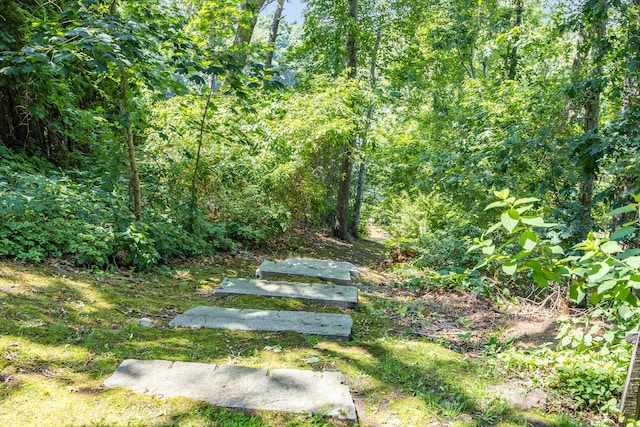 908 W Falmouth Hwy, Falmouth, MA 02540 - view of yard with a wooded view