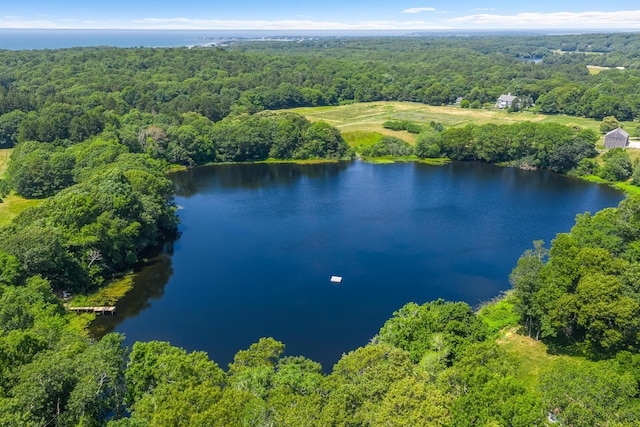 908 W Falmouth Hwy, Falmouth, MA 02540 - bird's eye view of a forest and a nearby body of water