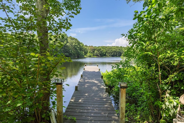 908 W Falmouth Hwy, Falmouth, MA 02540 - dock with a water view and a view of trees