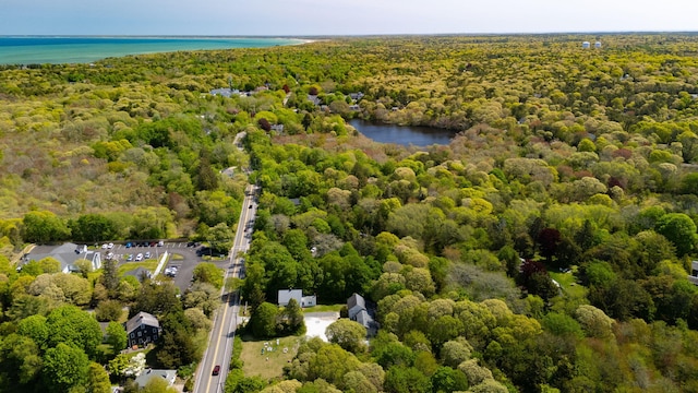 1424 Main St, Brewster, MA 02631 - bird's eye view of a forest and a large body of water