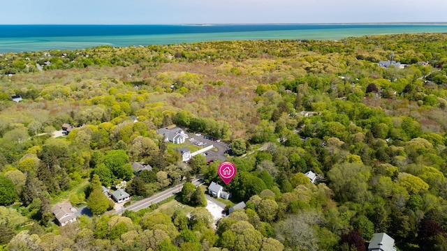 1424 Main St, Brewster, MA 02631 - aerial overview of property's location featuring a heavily wooded area and a nearby body of water